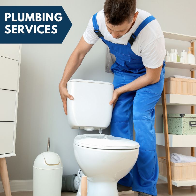 Plumbing Company in Cass City, MI